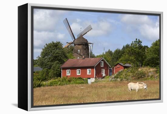 Sunvara Kvarn Windmill, Sunvara, Near Varobacka, Halland, Southwest Sweden, Sweden, Scandinavia-Stuart Black-Framed Premier Image Canvas