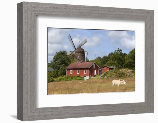 Sunvara Kvarn Windmill, Sunvara, Near Varobacka, Halland, Southwest Sweden, Sweden, Scandinavia-Stuart Black-Framed Photographic Print
