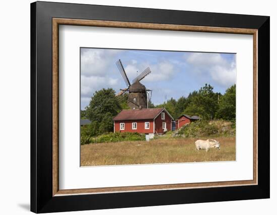 Sunvara Kvarn Windmill, Sunvara, Near Varobacka, Halland, Southwest Sweden, Sweden, Scandinavia-Stuart Black-Framed Photographic Print