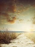 Wooden Boardwalk Leading into Wetland-Supapixx-Photographic Print