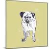 Super Cute Pug-Niya Christine-Mounted Art Print