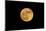Super full moon-null-Mounted Photographic Print