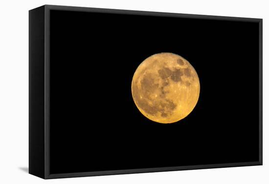 Super full moon-null-Framed Premier Image Canvas
