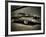 Super-Stephen Arens-Framed Photographic Print