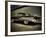 Super-Stephen Arens-Framed Photographic Print