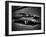 Super-Stephen Arens-Framed Photographic Print