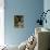 Superb Fairy-Wren or Blue Wren., Australia-Charles Sleicher-Photographic Print displayed on a wall