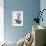Superb Lyrebird (Menura Superba)-John Gould-Framed Giclee Print displayed on a wall
