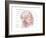 Superficial Arteries and Veins of Face and Scalp-Encyclopaedia Britannica-Framed Art Print