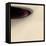 superficial cavity-Gilbert Claes-Framed Premier Image Canvas