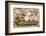 Superfoods Word-PixelsAway-Framed Photographic Print