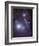 Supergiant Rigel and IC 2118 in Eridanus, Cederblad 41, the Witch Head Nebula-Stocktrek Images-Framed Photographic Print