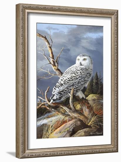 Superior Vantage-Trevor V. Swanson-Framed Giclee Print