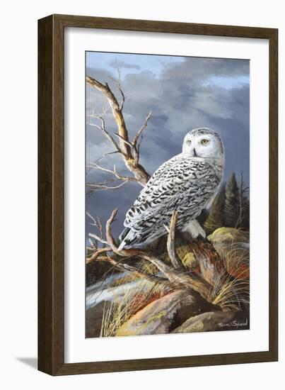 Superior Vantage-Trevor V. Swanson-Framed Giclee Print