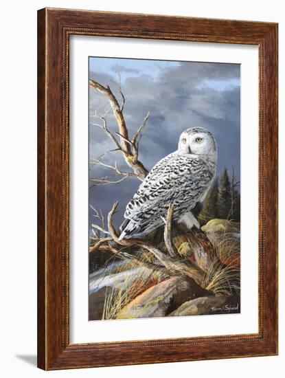 Superior Vantage-Trevor V. Swanson-Framed Giclee Print