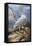 Superior Vantage-Trevor V. Swanson-Framed Premier Image Canvas