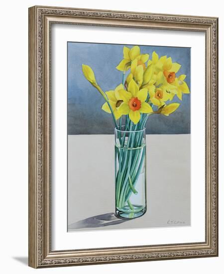 Supermarket Daffodils, 2022 (Watercolour on Paper)-Christopher Ryland-Framed Giclee Print