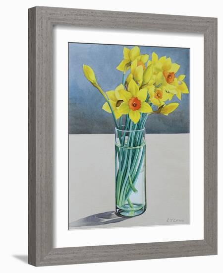 Supermarket Daffodils, 2022 (Watercolour on Paper)-Christopher Ryland-Framed Giclee Print