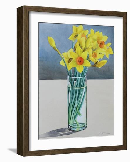 Supermarket Daffodils, 2022 (Watercolour on Paper)-Christopher Ryland-Framed Giclee Print