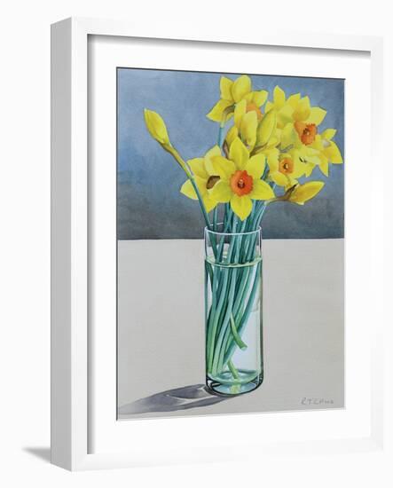 Supermarket Daffodils, 2022 (Watercolour on Paper)-Christopher Ryland-Framed Giclee Print