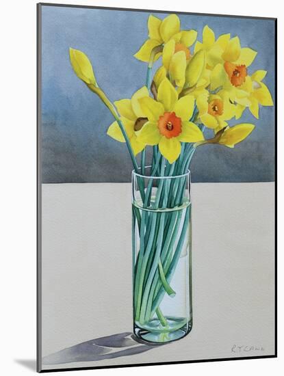 Supermarket Daffodils, 2022 (Watercolour on Paper)-Christopher Ryland-Mounted Giclee Print