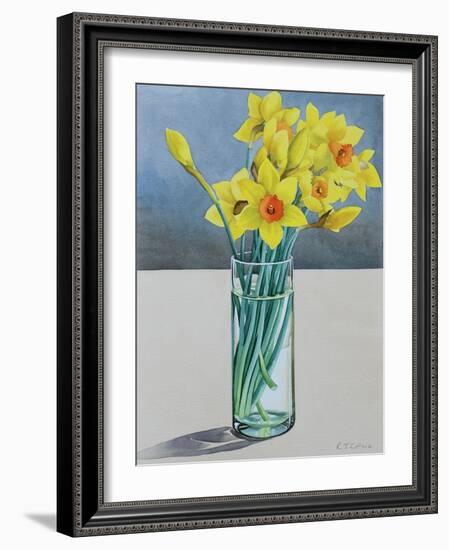 Supermarket Daffodils, 2022 (Watercolour on Paper)-Christopher Ryland-Framed Giclee Print