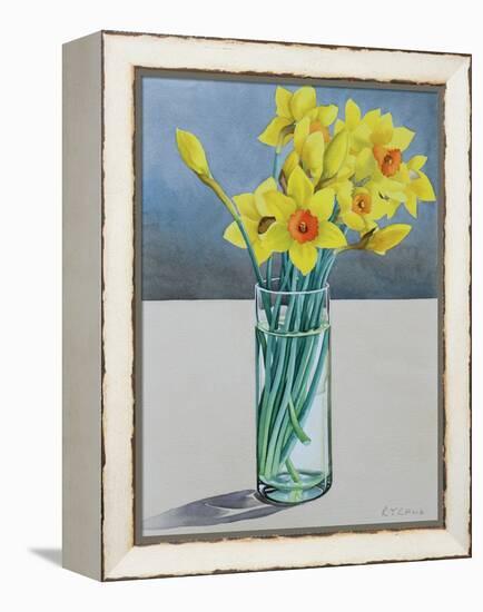 Supermarket Daffodils, 2022 (Watercolour on Paper)-Christopher Ryland-Framed Premier Image Canvas