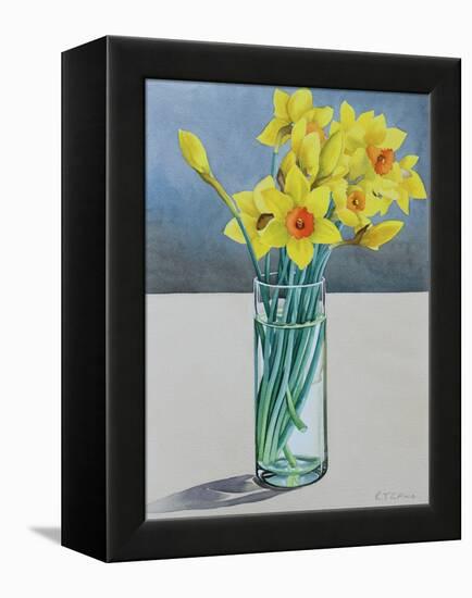 Supermarket Daffodils, 2022 (Watercolour on Paper)-Christopher Ryland-Framed Premier Image Canvas