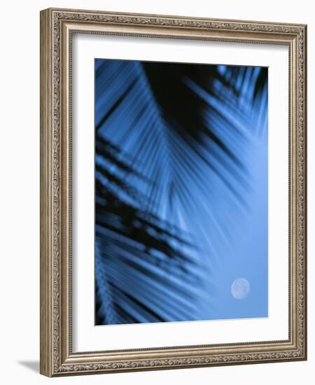 Supermoon along Hawaiian coast. Miloli'i beach, Hawaii-Maresa Pryor-Framed Photographic Print