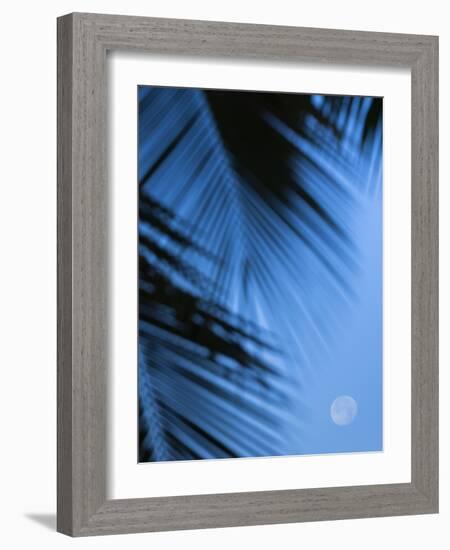 Supermoon along Hawaiian coast. Miloli'i beach, Hawaii-Maresa Pryor-Framed Photographic Print