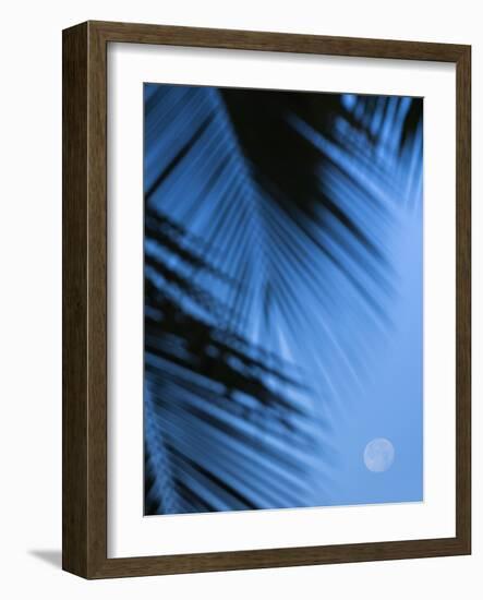 Supermoon along Hawaiian coast. Miloli'i beach, Hawaii-Maresa Pryor-Framed Photographic Print