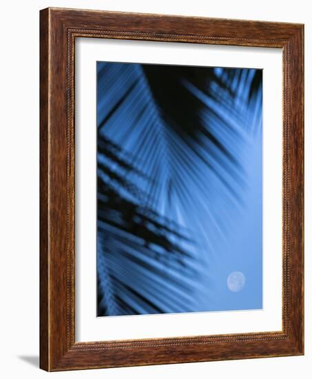 Supermoon along Hawaiian coast. Miloli'i beach, Hawaii-Maresa Pryor-Framed Photographic Print