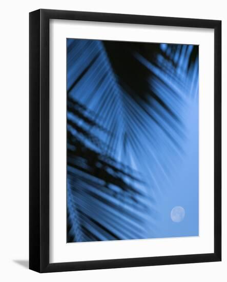 Supermoon along Hawaiian coast. Miloli'i beach, Hawaii-Maresa Pryor-Framed Photographic Print