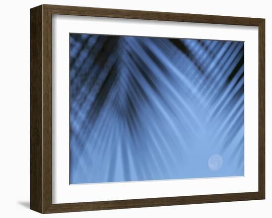 Supermoon along Hawaiian coast. Miloli'i beach, Hawaii-Maresa Pryor-Framed Photographic Print