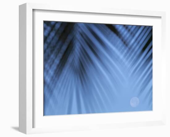 Supermoon along Hawaiian coast. Miloli'i beach, Hawaii-Maresa Pryor-Framed Photographic Print