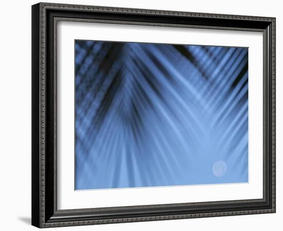 Supermoon along Hawaiian coast. Miloli'i beach, Hawaii-Maresa Pryor-Framed Photographic Print