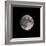 Supermoon-Brenda Petrella Photography LLC-Framed Giclee Print