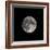 Supermoon-Brenda Petrella Photography LLC-Framed Giclee Print