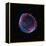 Supernova Remnant SN1006, Composite Image-null-Framed Premier Image Canvas