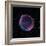 Supernova Remnant SN1006, Composite Image-null-Framed Premium Photographic Print