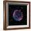 Supernova Remnant SN1006, Composite Image-null-Framed Premium Photographic Print