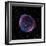 Supernova Remnant SN1006, Composite Image-null-Framed Premium Photographic Print