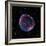 Supernova Remnant SN1006, Composite Image-null-Framed Premium Photographic Print