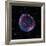 Supernova Remnant SN1006, Composite Image-null-Framed Photographic Print