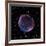 Supernova Remnant SN1006, Composite Image-null-Framed Photographic Print