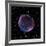 Supernova Remnant SN1006, Composite Image-null-Framed Photographic Print