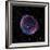 Supernova Remnant SN1006, Composite Image-null-Framed Photographic Print