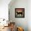 Superstition Black Pepper Cat-Ryan Fowler-Framed Stretched Canvas displayed on a wall