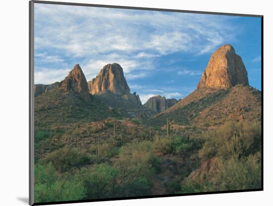 Superstition Mountains, Phoenix, AZ-Danny Daniels-Mounted Photographic Print