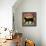 Superstition Vineyards Cat-Ryan Fowler-Framed Stretched Canvas displayed on a wall